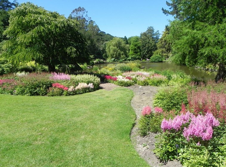 Marwood Hill Gardens , , United Kingdom